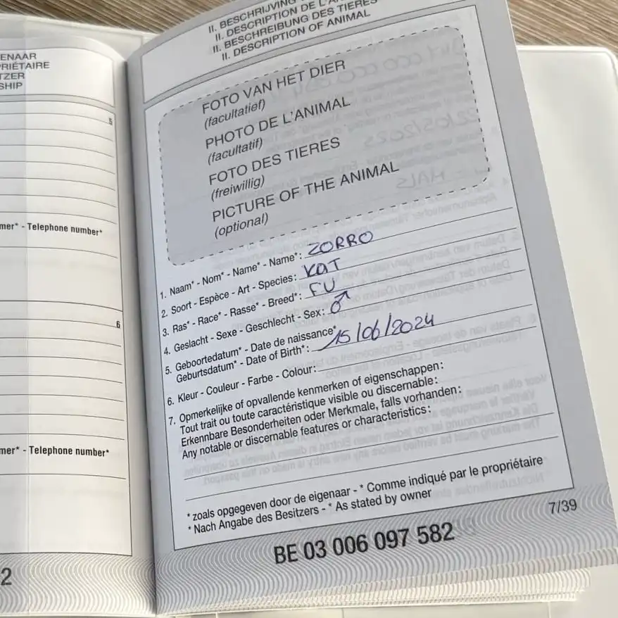 Registratieboekje kat in België