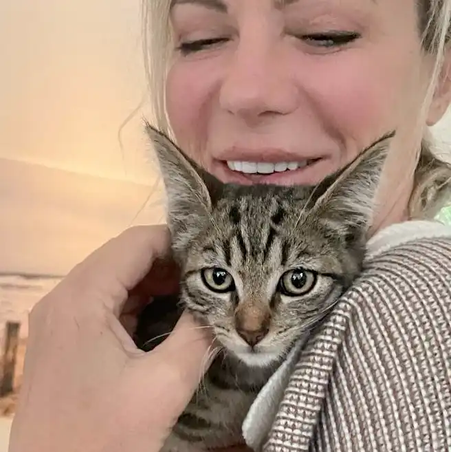 RoRo de kitten